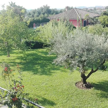 Viscalori House Отель типа 